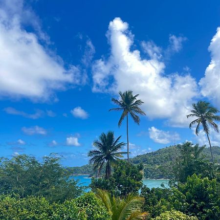 Happy Nest Dominica 호텔 Marigot 외부 사진