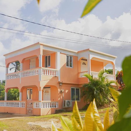 Happy Nest Dominica 호텔 Marigot 외부 사진